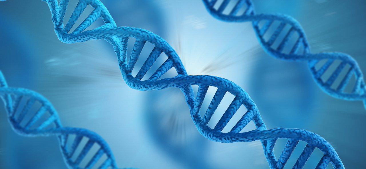 Read more about the article Προεμφυτευτική διάγνωση στη θεραπεία γονιμότητας